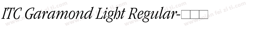 ITC Garamond Light Regular字体转换